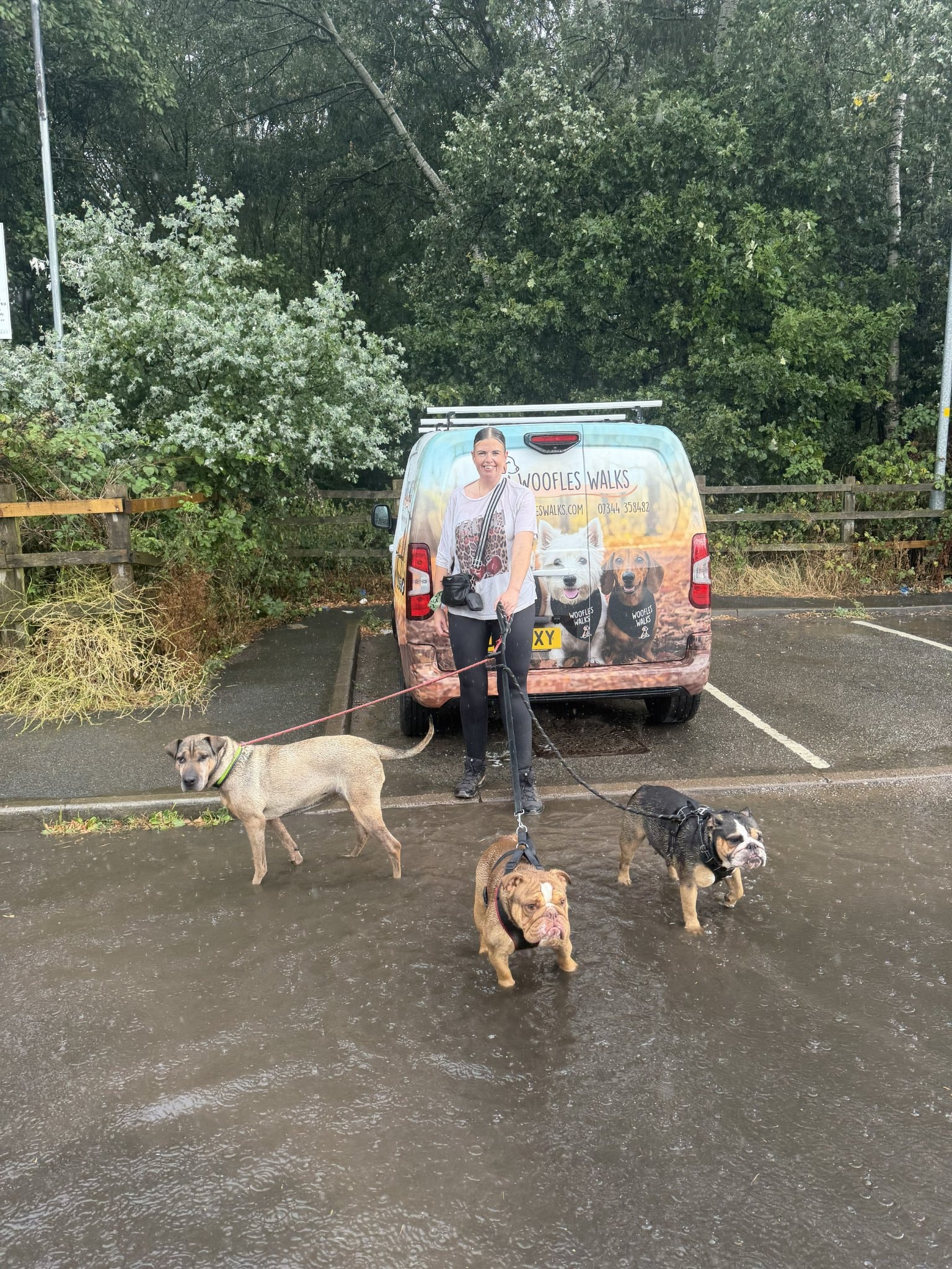 Woofles Walks pet care van